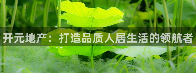 永利公司简介