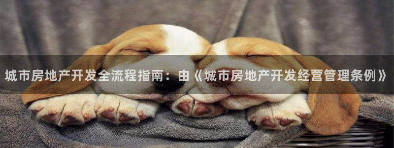 永利充值