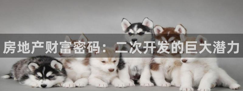 永利杯掼蛋