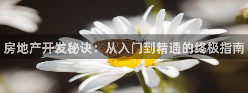 9900777z永利网