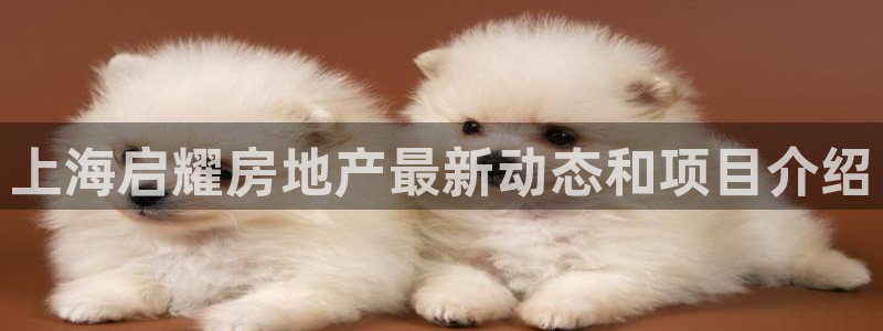永利橡胶有限公司