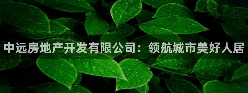 3044am永利集团 官网