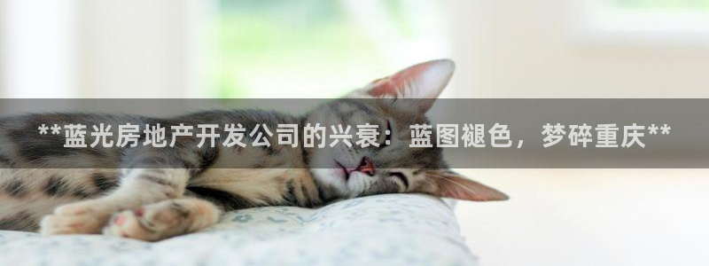 永利带业 皮带 输送带 价格