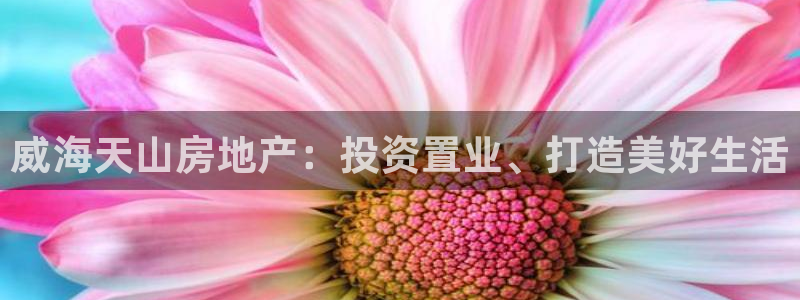 永利皮带官网