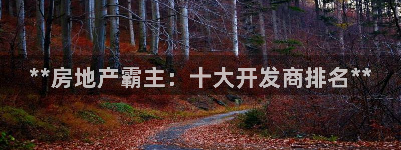 永利集团董事长