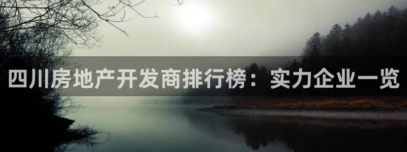 永利带业怎么样