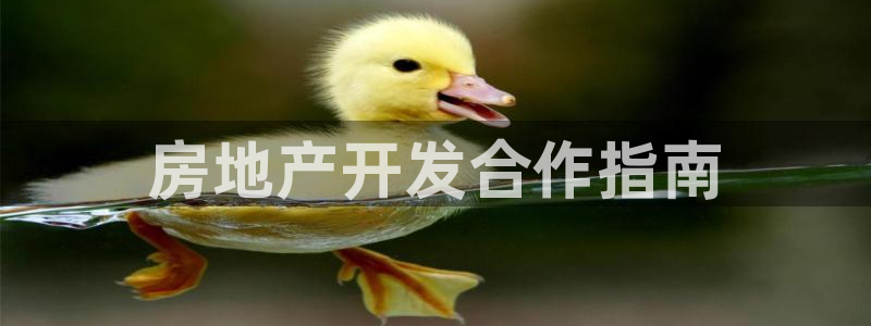 永利大酒店价格表