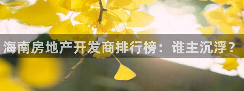 佛山永利工业皮带有限公司