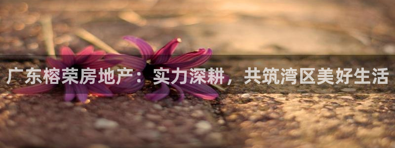 永利纺织有限公司