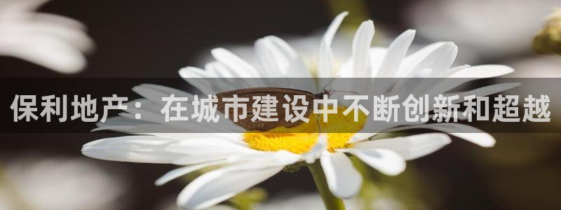 永利来织带