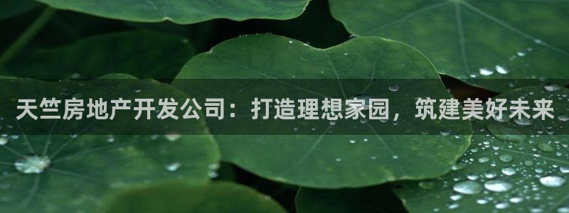永利股份怎么样