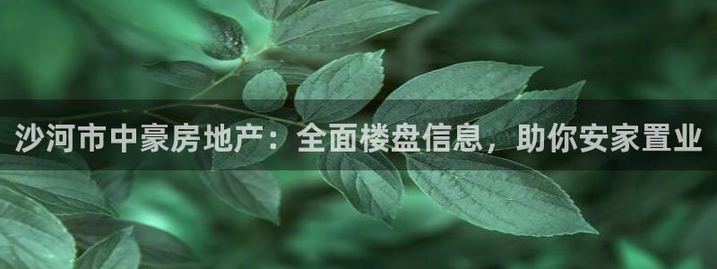 谁知道永利的网址是多少