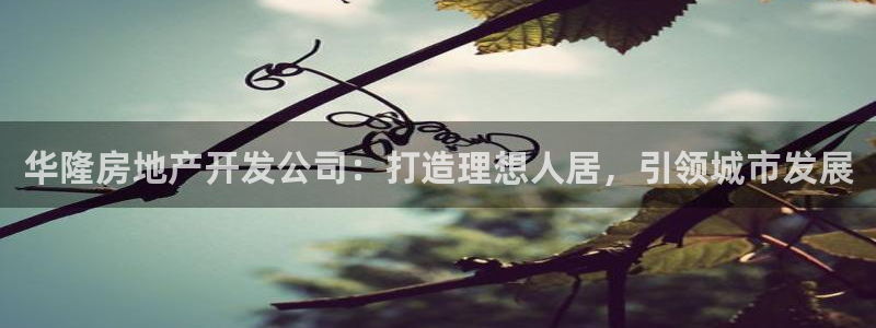 永利会员卡级别及福利