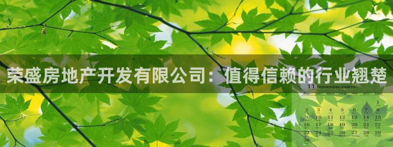 永利网会员
