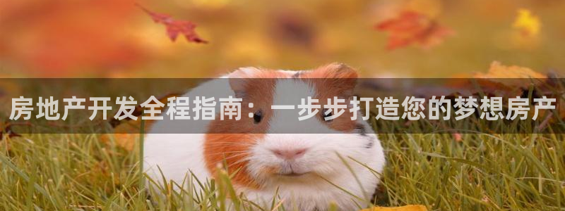 永利信誉网址