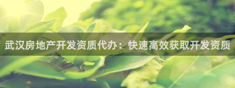 永利地产