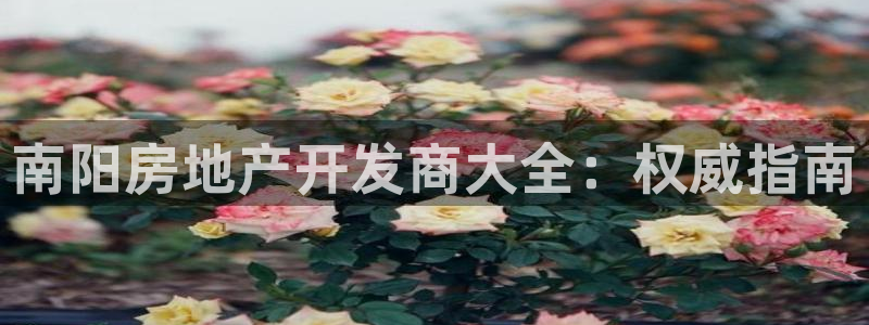 永利酒店有几家