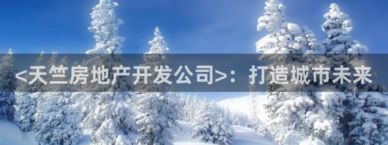 永利正版