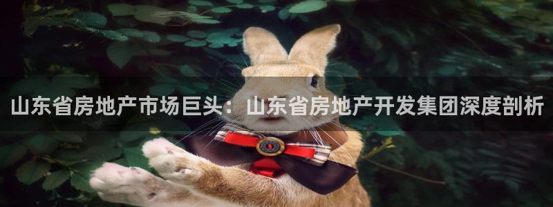 永利制带合作的公司