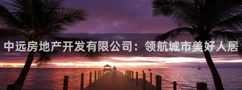 永利皮带官网价格查询系统