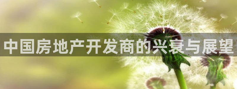 永利饭店老板是谁