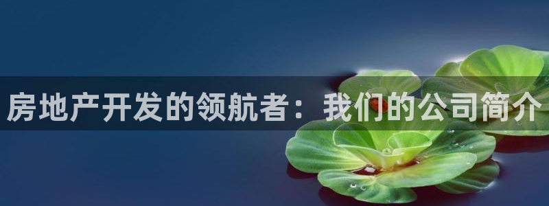 为什么永利会打不开了