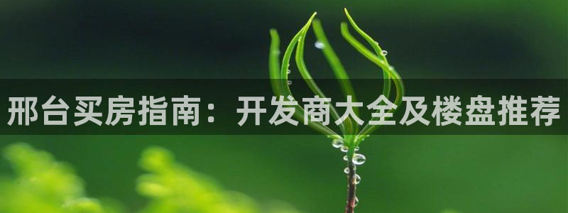 永利集团官网总站