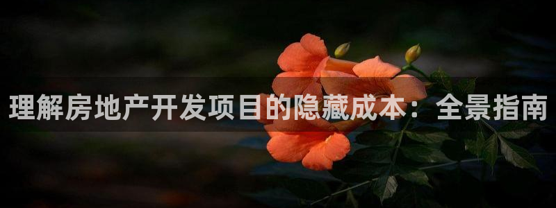 永利账号交易