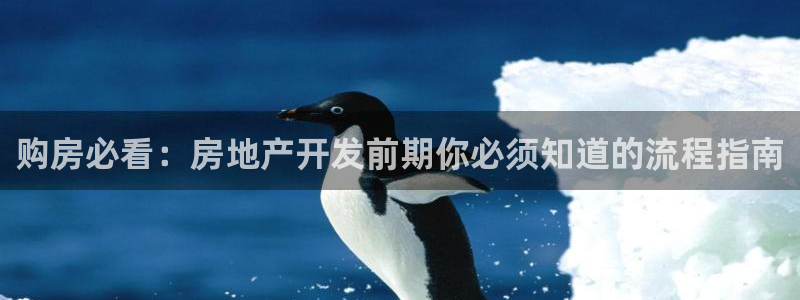 永利网输了几十万