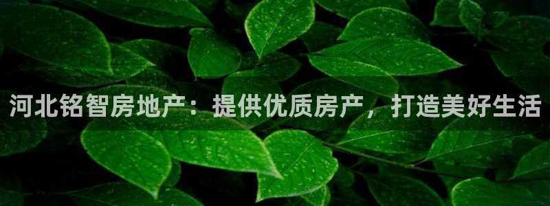 永利皮革有限公司地址