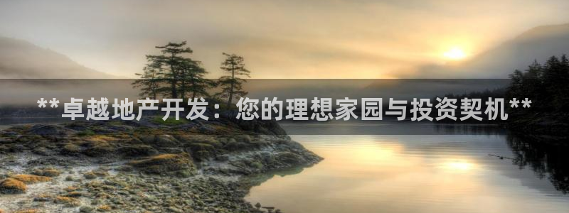 永利制带