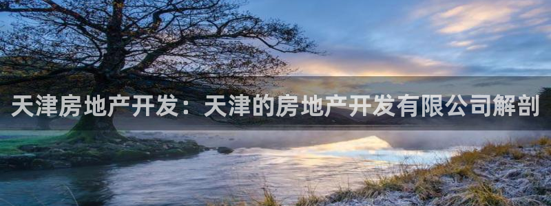 永利公司简介