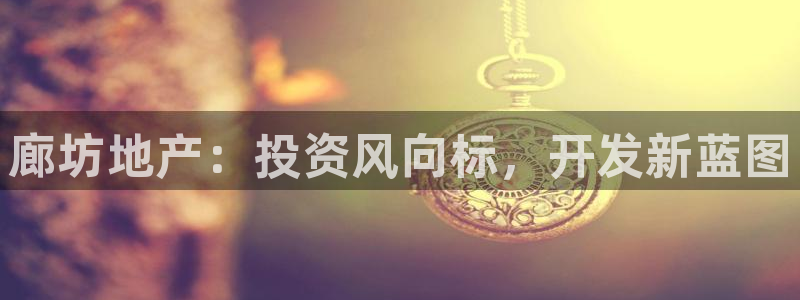 永利鞋业有限公司