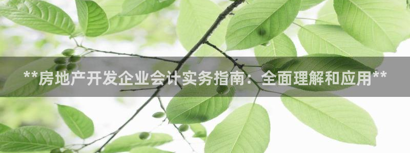 永利现场