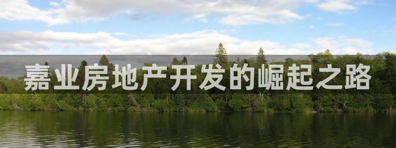 永利厂牌