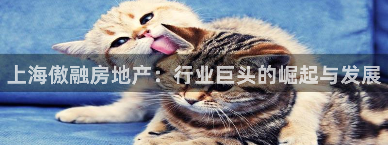 永利铔厂具体地址