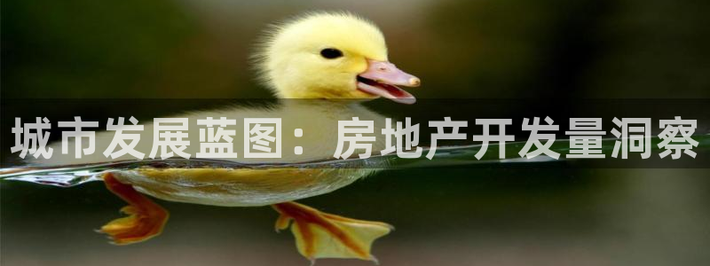 永利汇茶具怎么样