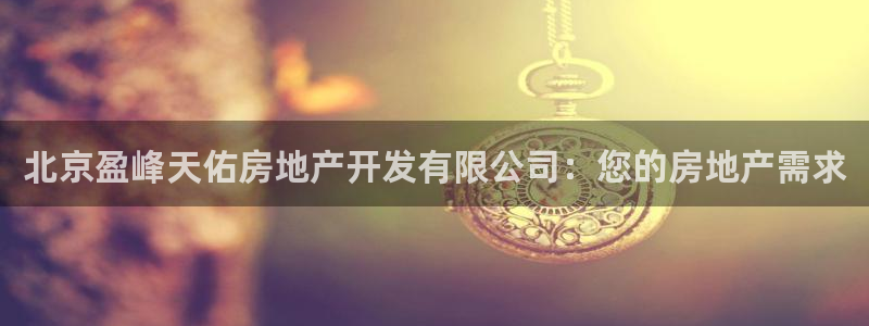 永利公司是做什么的
