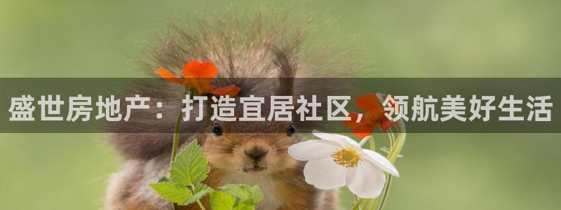 永利皮带型号