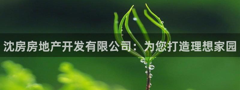 永利官网正网
