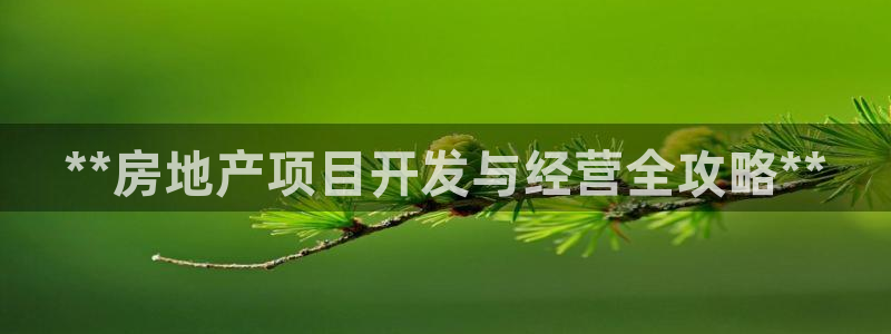 永利置业有限公司