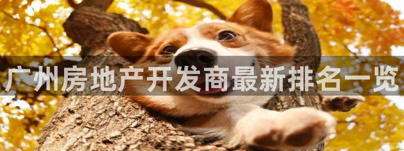 永利工艺品有限公司
