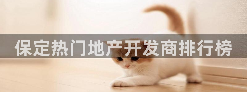 永利皮带