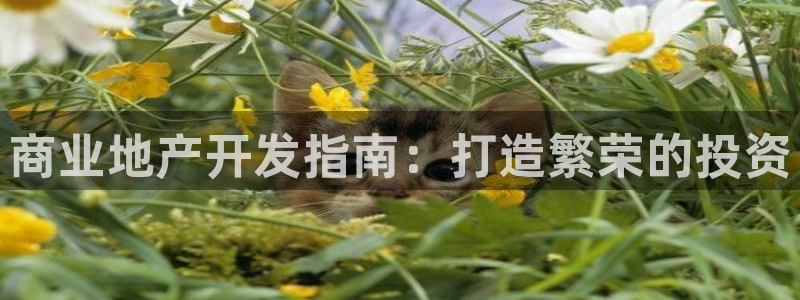 永利带业 皮带 输送带 价格
