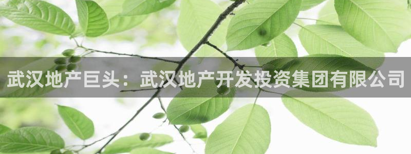 永利提不了款怎么办