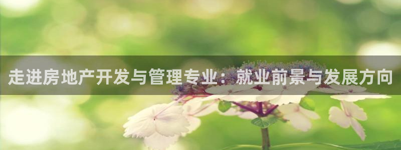 永利建筑工程有限公司董事长