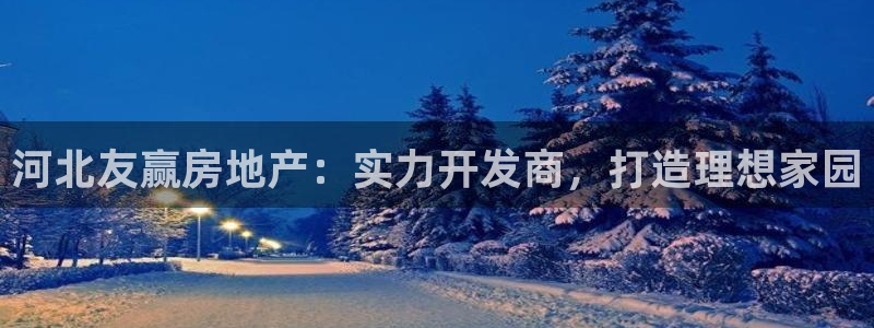 永利有限责任公司