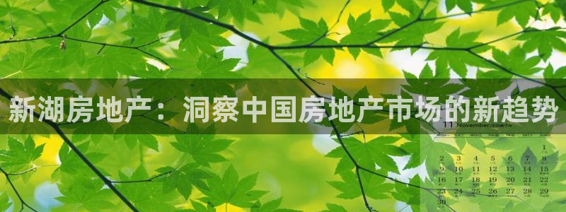 永利房地产有限公司怎么样