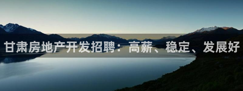 永利地产