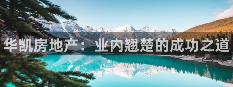 永利睹钱